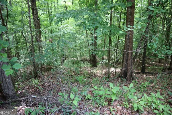 $12,500 | Lt 102 Village Court Southwest, Sparta, GA 31087