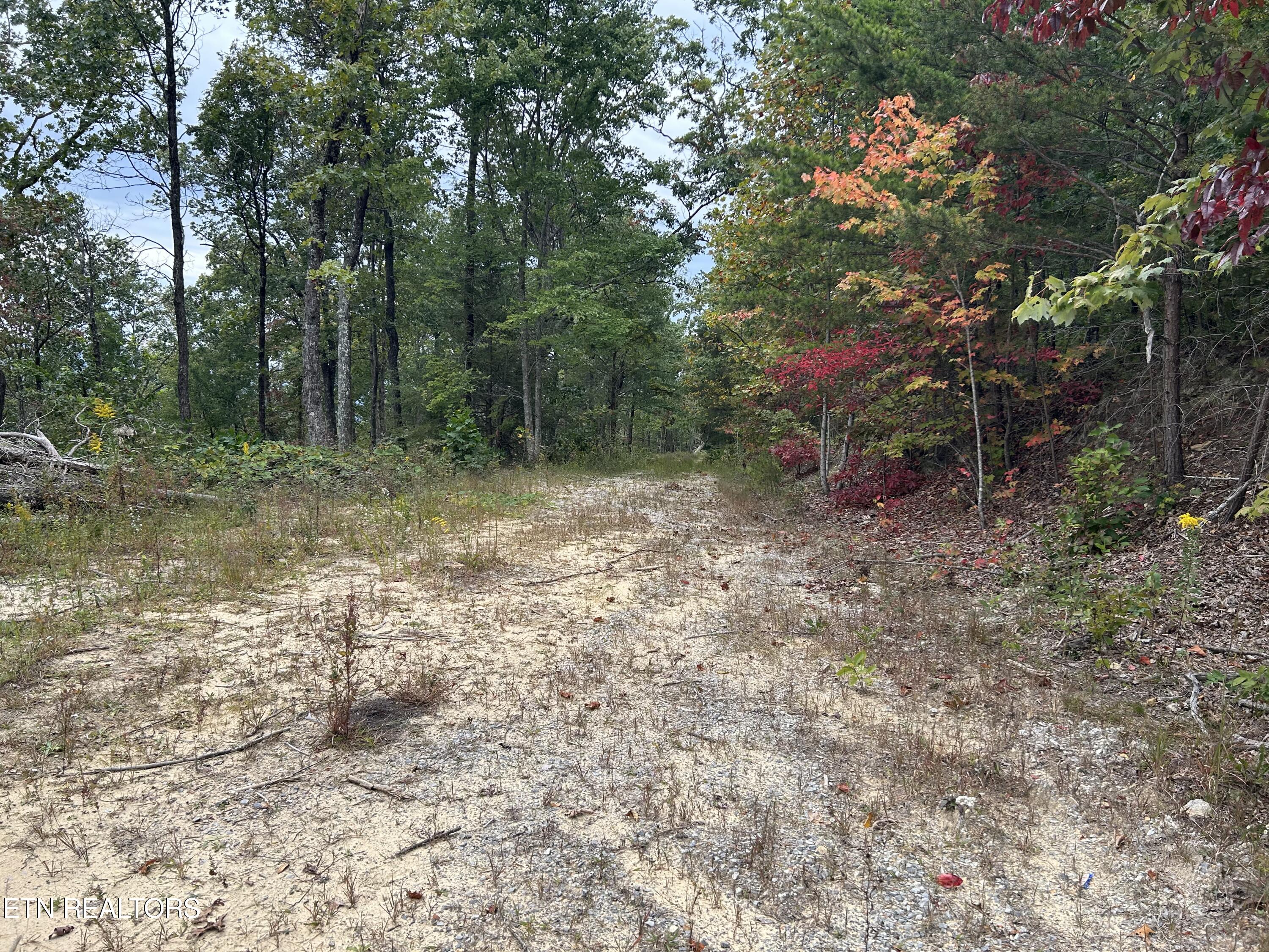 3 Ross Way Sevierville, TN 37862 - Photo 14 of 16 IMG_0677