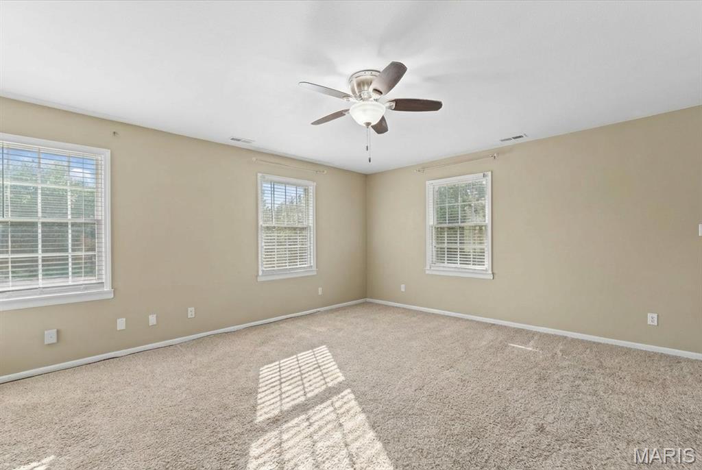 334 Spring Lake Road Millstadt, IL 62260 - Photo 27 of 48