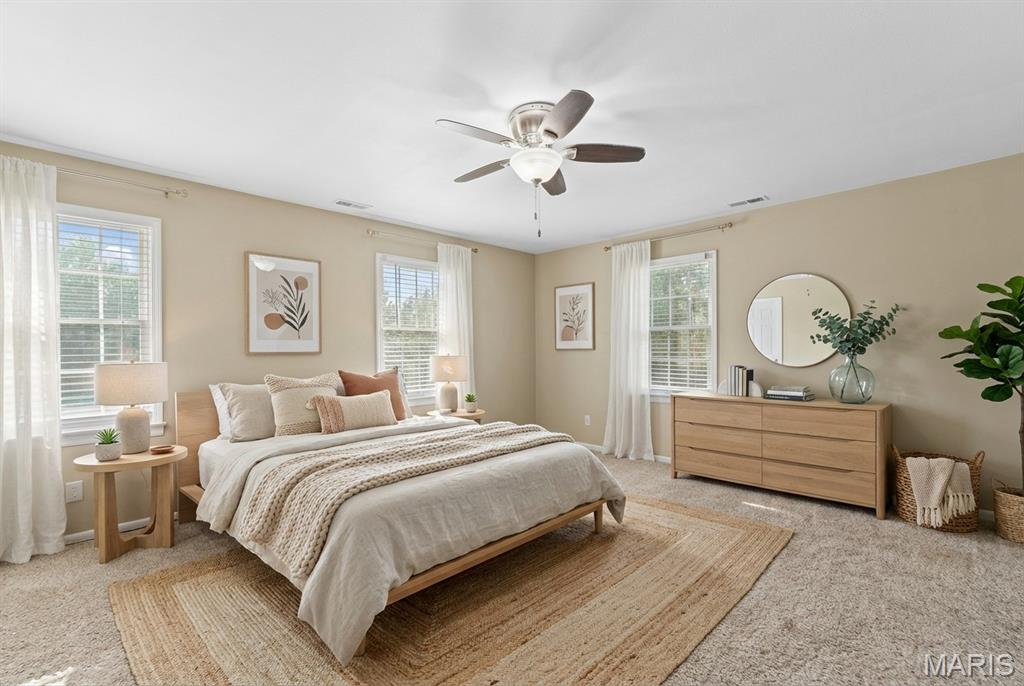 334 Spring Lake Road Millstadt, IL 62260 - Photo 28 of 48