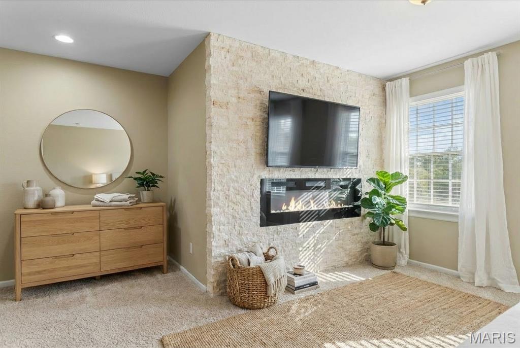 334 Spring Lake Road Millstadt, IL 62260 - Photo 29 of 48