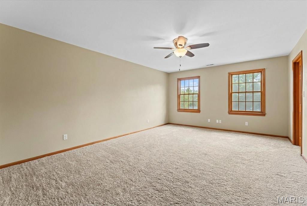 334 Spring Lake Road Millstadt, IL 62260 - Photo 33 of 48