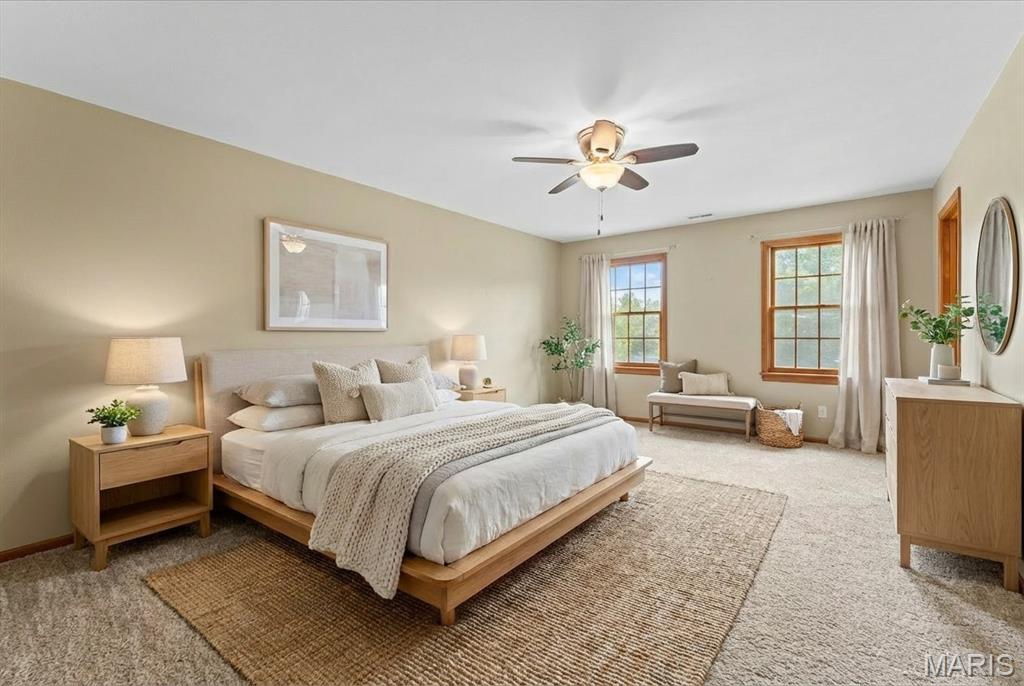 334 Spring Lake Road Millstadt, IL 62260 - Photo 34 of 48