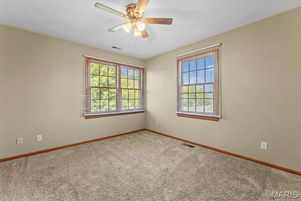 334 Spring Lake Road Millstadt, IL 62260 - Photo 36 of 48