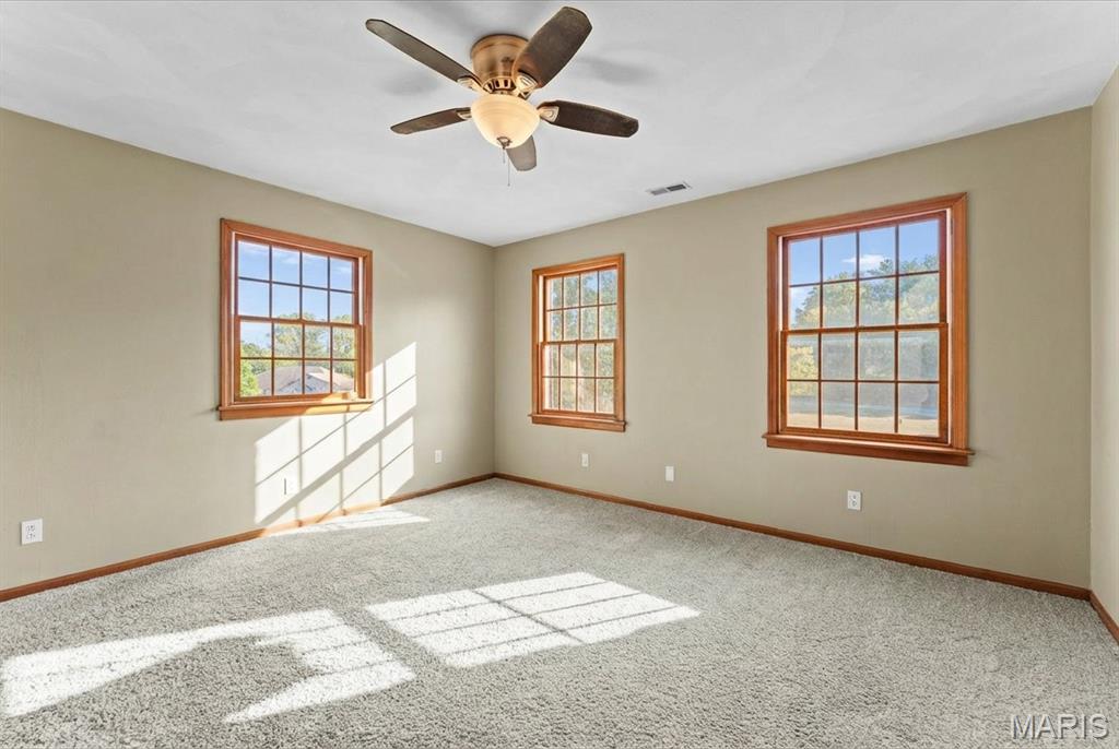 334 Spring Lake Road Millstadt, IL 62260 - Photo 39 of 48