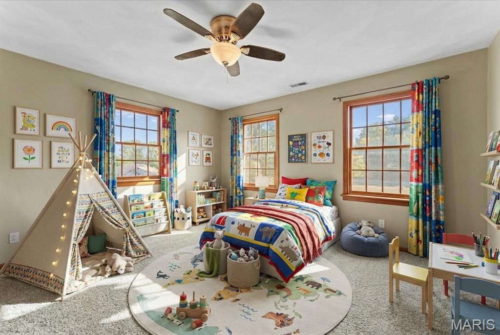 334 Spring Lake Road Millstadt, IL 62260 - Photo 40 of 48