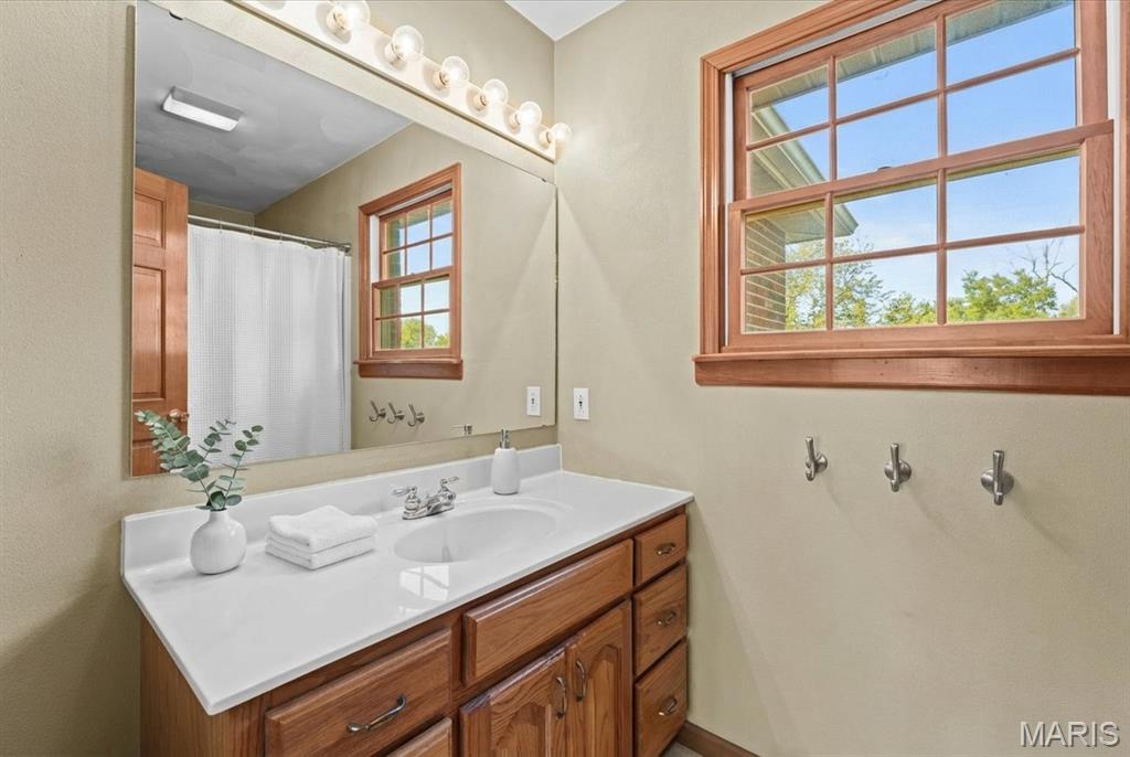 334 Spring Lake Road Millstadt, IL 62260 - Photo 41 of 48