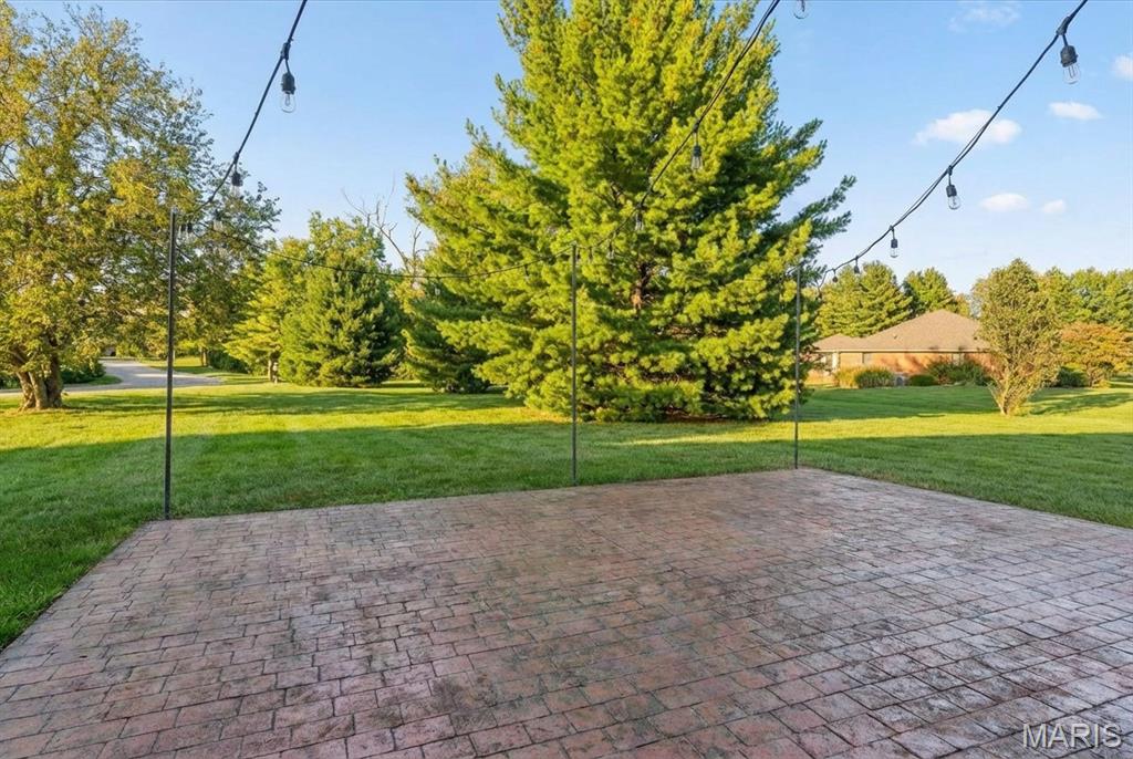 334 Spring Lake Road Millstadt, IL 62260 - Photo 43 of 48