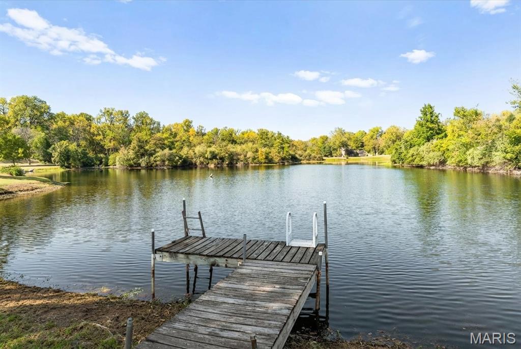 334 Spring Lake Road Millstadt, IL 62260 - Photo 47 of 48