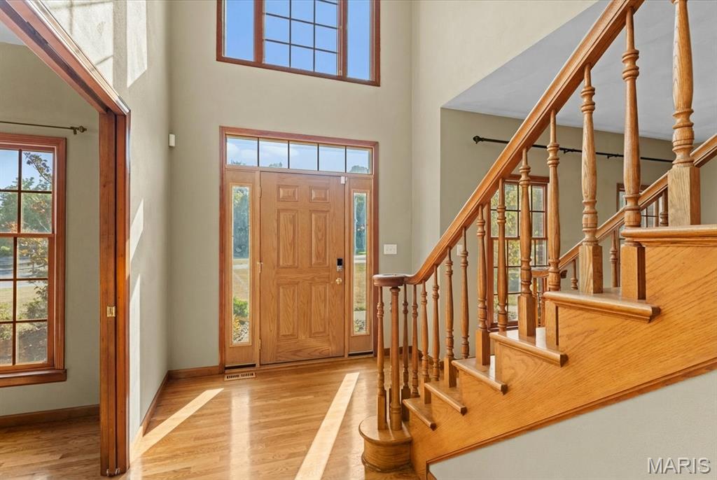 334 Spring Lake Road Millstadt, IL 62260 - Photo 9 of 48