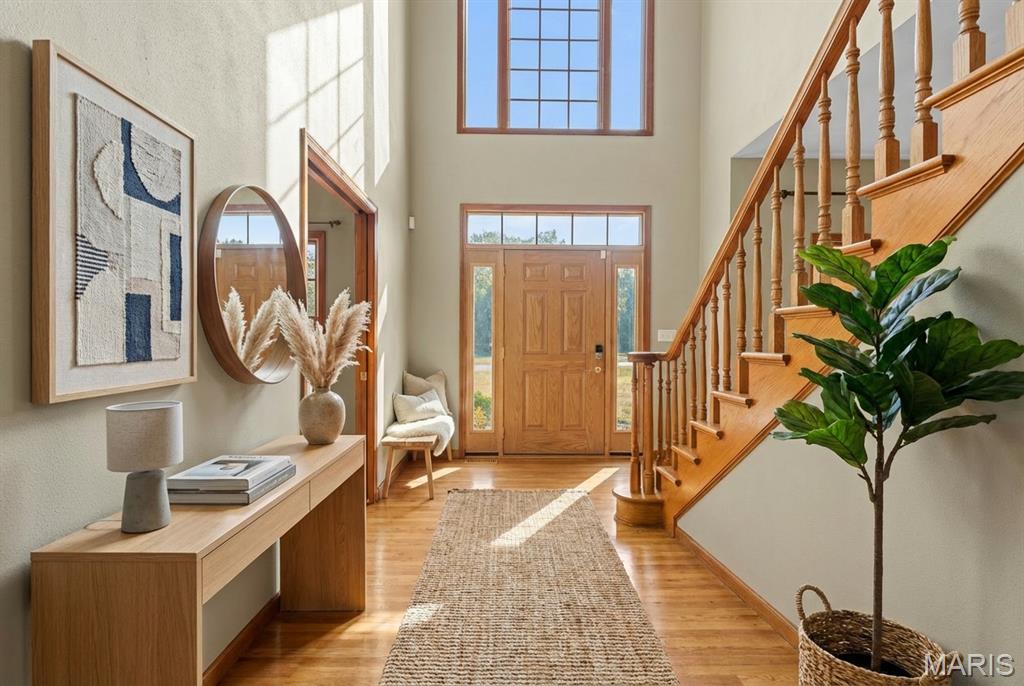 334 Spring Lake Road Millstadt, IL 62260 - Photo 10 of 48