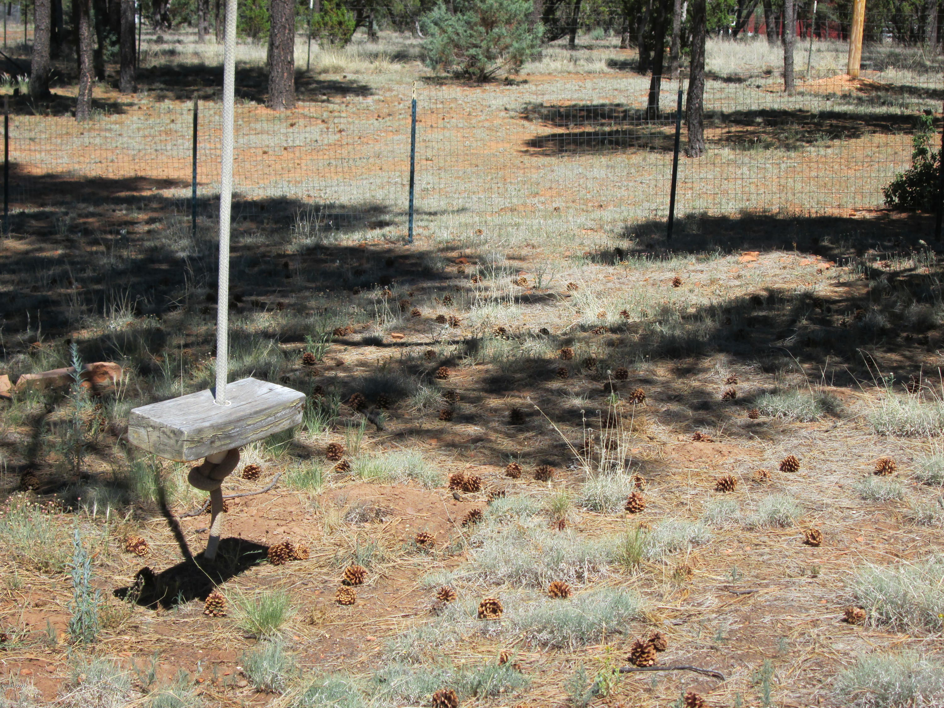 3048 Aspen Road Overgaard, AZ 85933 - Photo 7 of 36 a view of a backyard of a house