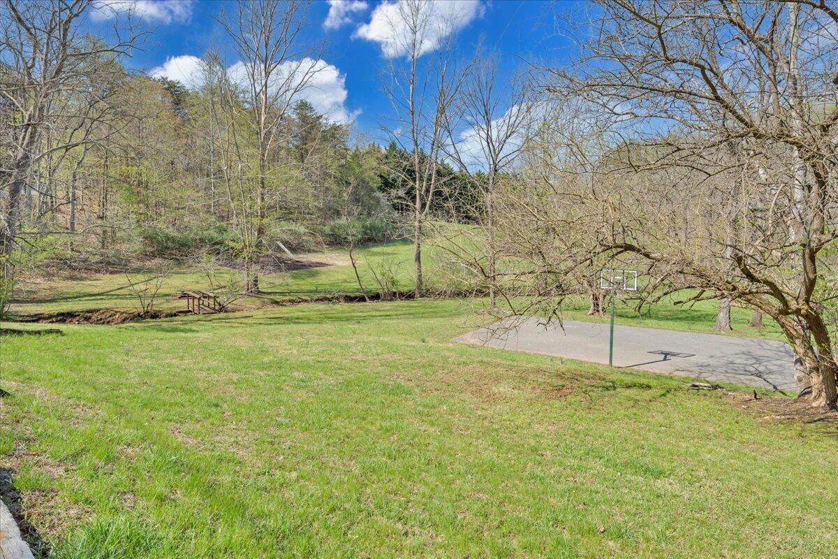 610 Gap Bridge Road Moneta, VA 24121 - Photo 39 of 62 a view of a yard with a house