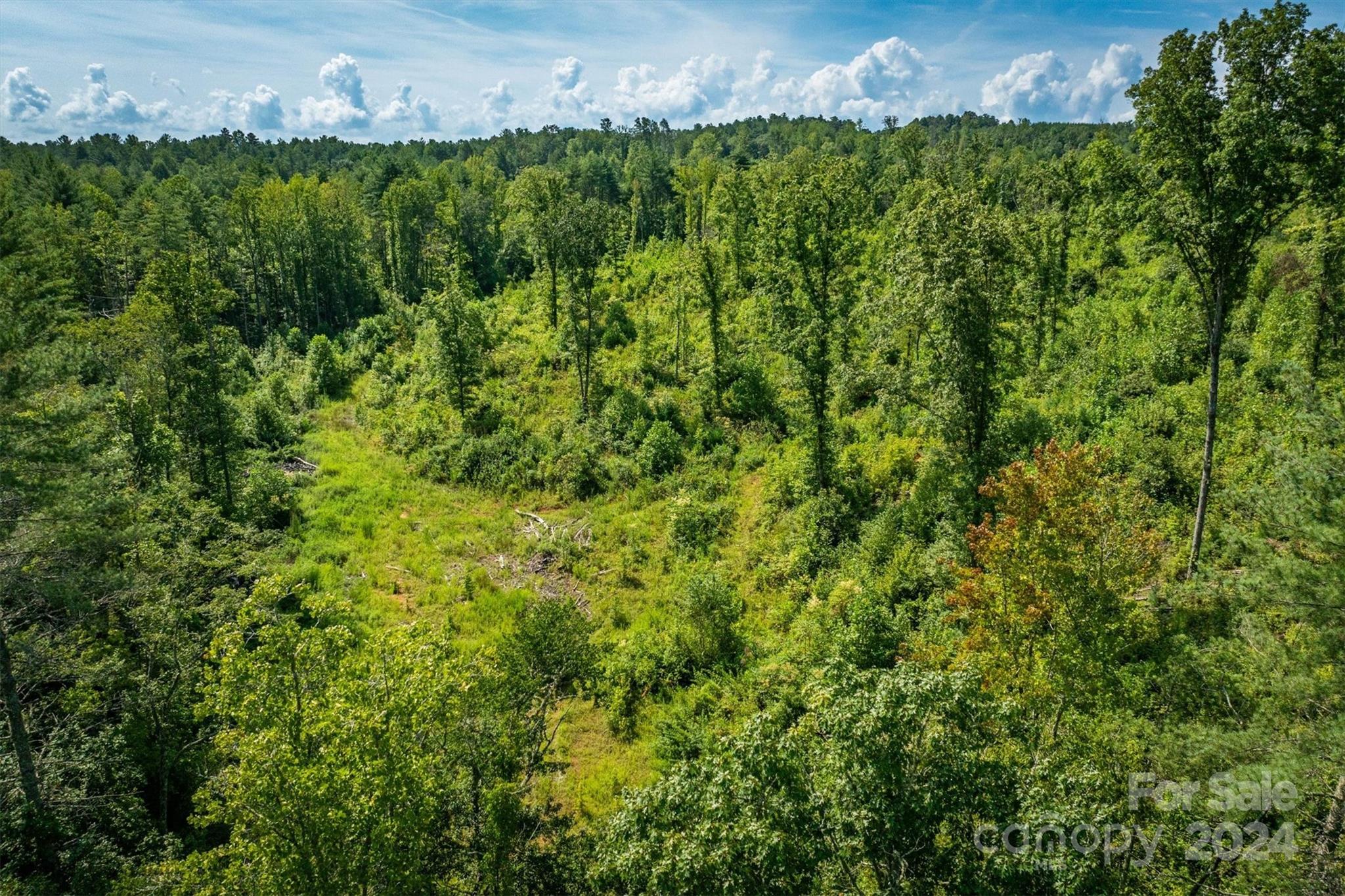 4311 Gwaltney Road Morganton, NC 28655 - Photo 16 of 24 Gallery Image 16