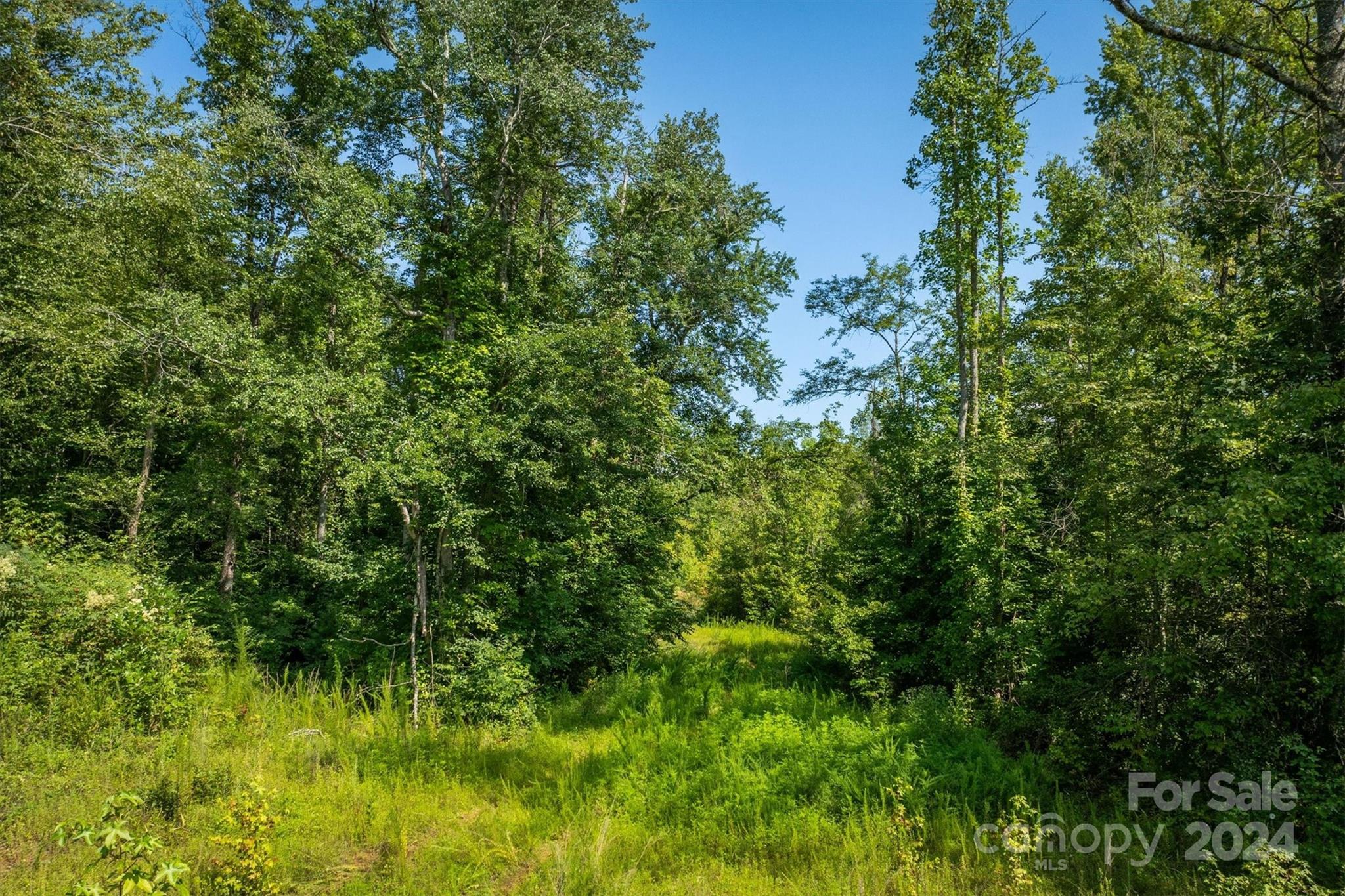 4311 Gwaltney Road Morganton, NC 28655 - Photo 17 of 24 Gallery Image 17