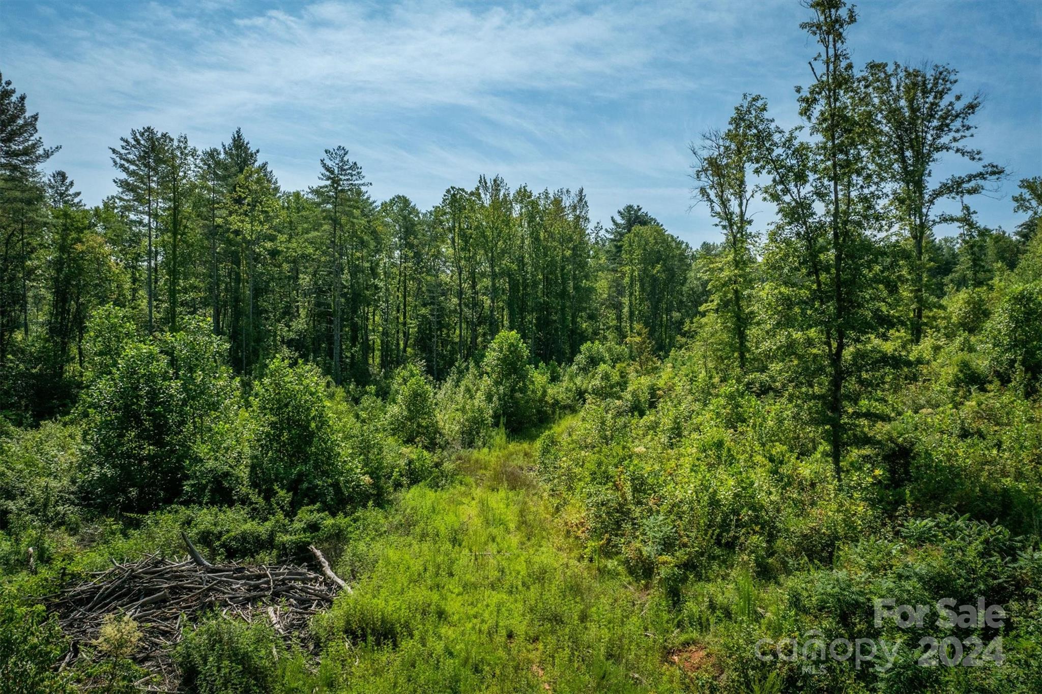 4311 Gwaltney Road Morganton, NC 28655 - Photo 18 of 24 Gallery Image 18