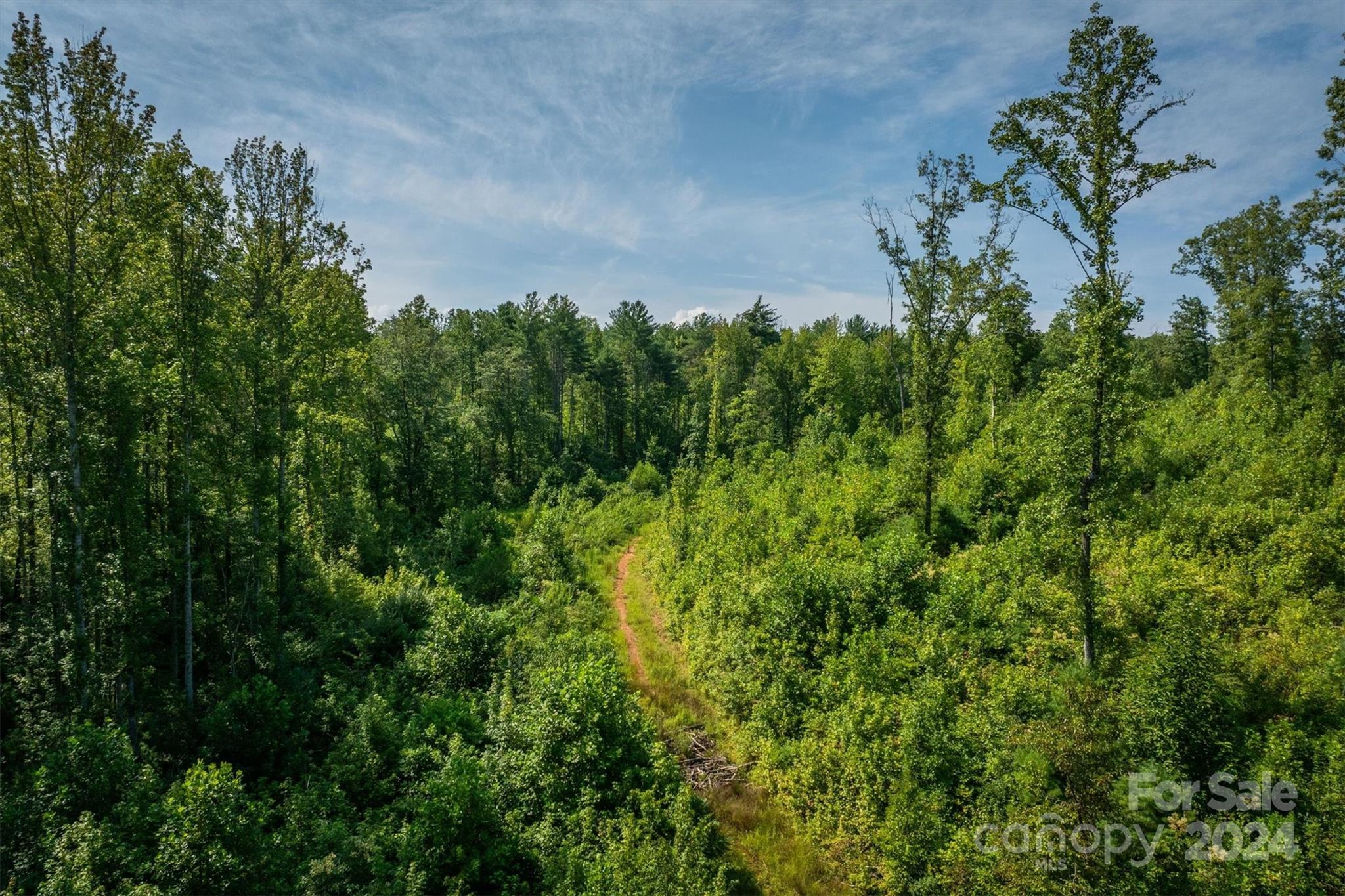 4311 Gwaltney Road Morganton, NC 28655 - Photo 19 of 24 Gallery Image 19