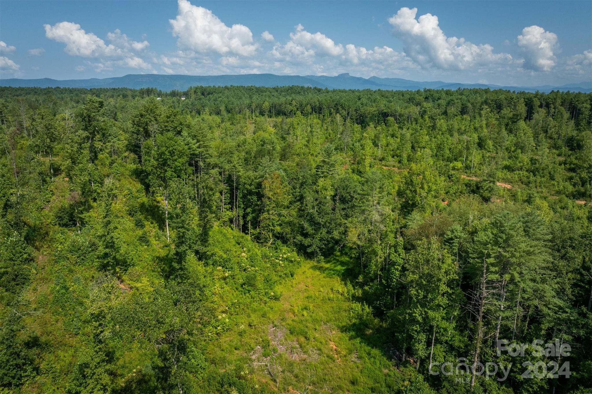 4311 Gwaltney Road Morganton, NC 28655 - Photo 21 of 24 Gallery Image 21