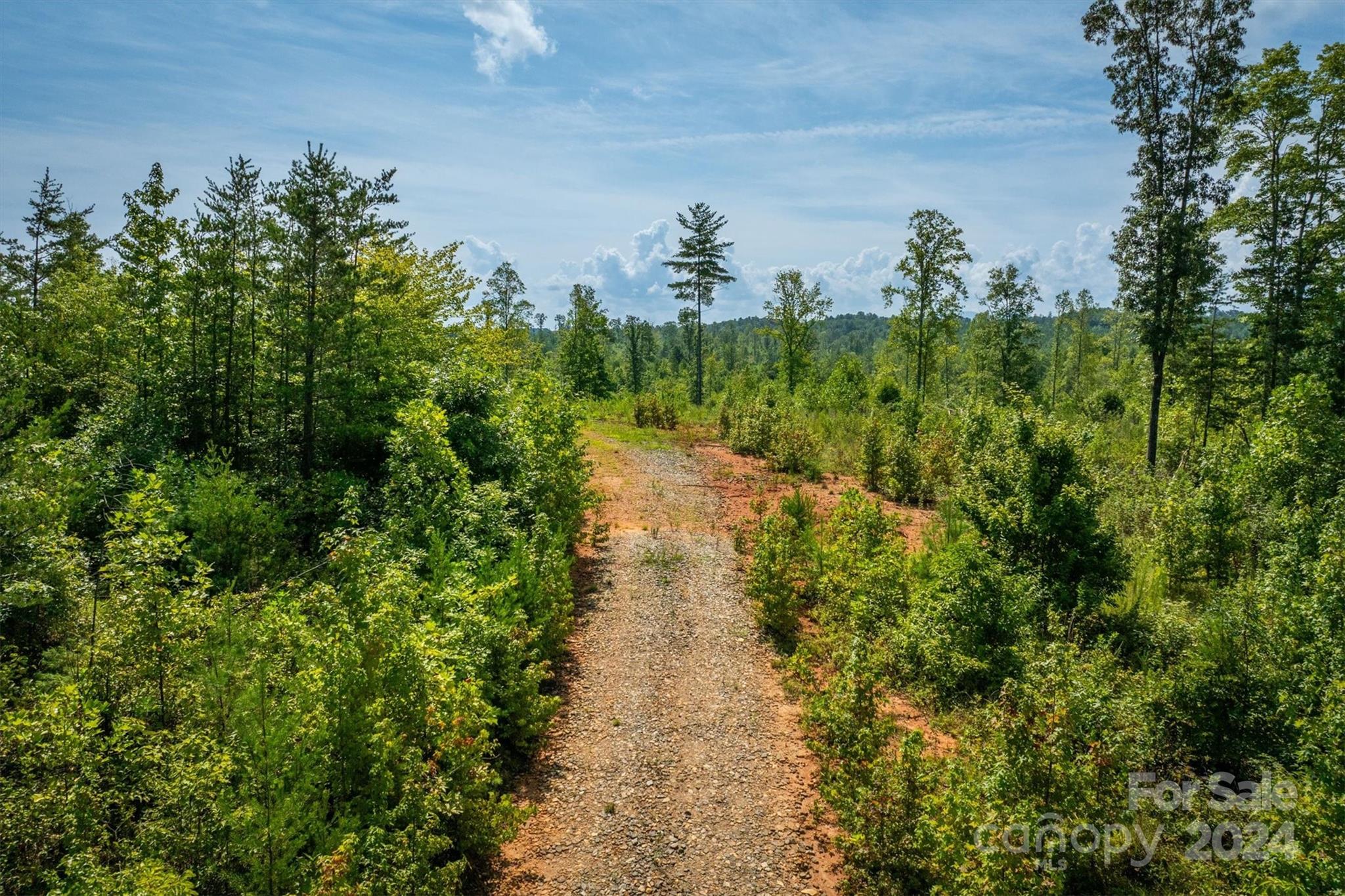 4311 Gwaltney Road Morganton, NC 28655 - Photo 22 of 24 Gallery Image 22