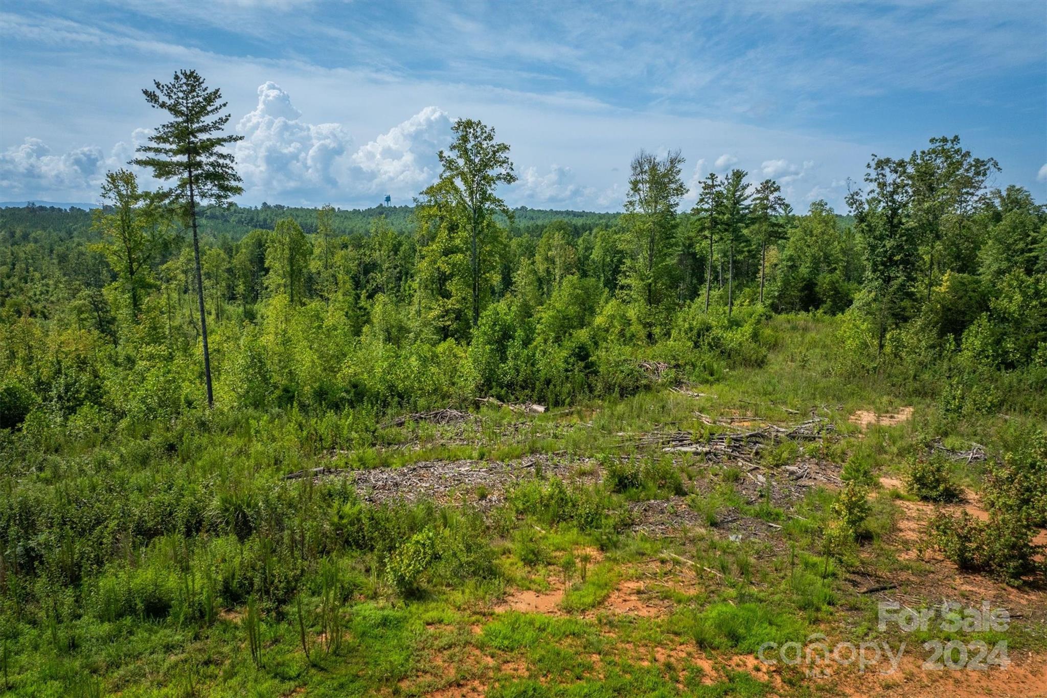 4311 Gwaltney Road Morganton, NC 28655 - Photo 23 of 24 Gallery Image 23