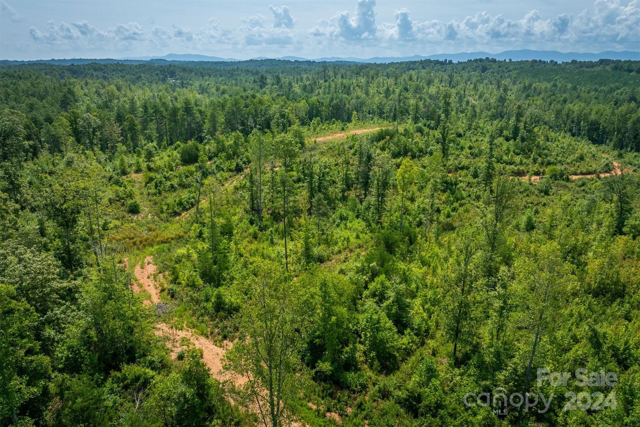4311 Gwaltney Road Morganton, NC 28655 - Photo 24 of 24 Gallery Image 24