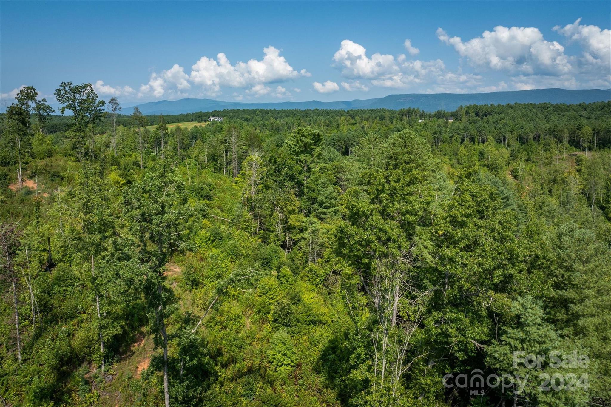 4311 Gwaltney Road Morganton, NC 28655 - Photo 6 of 24 Gallery Image 6