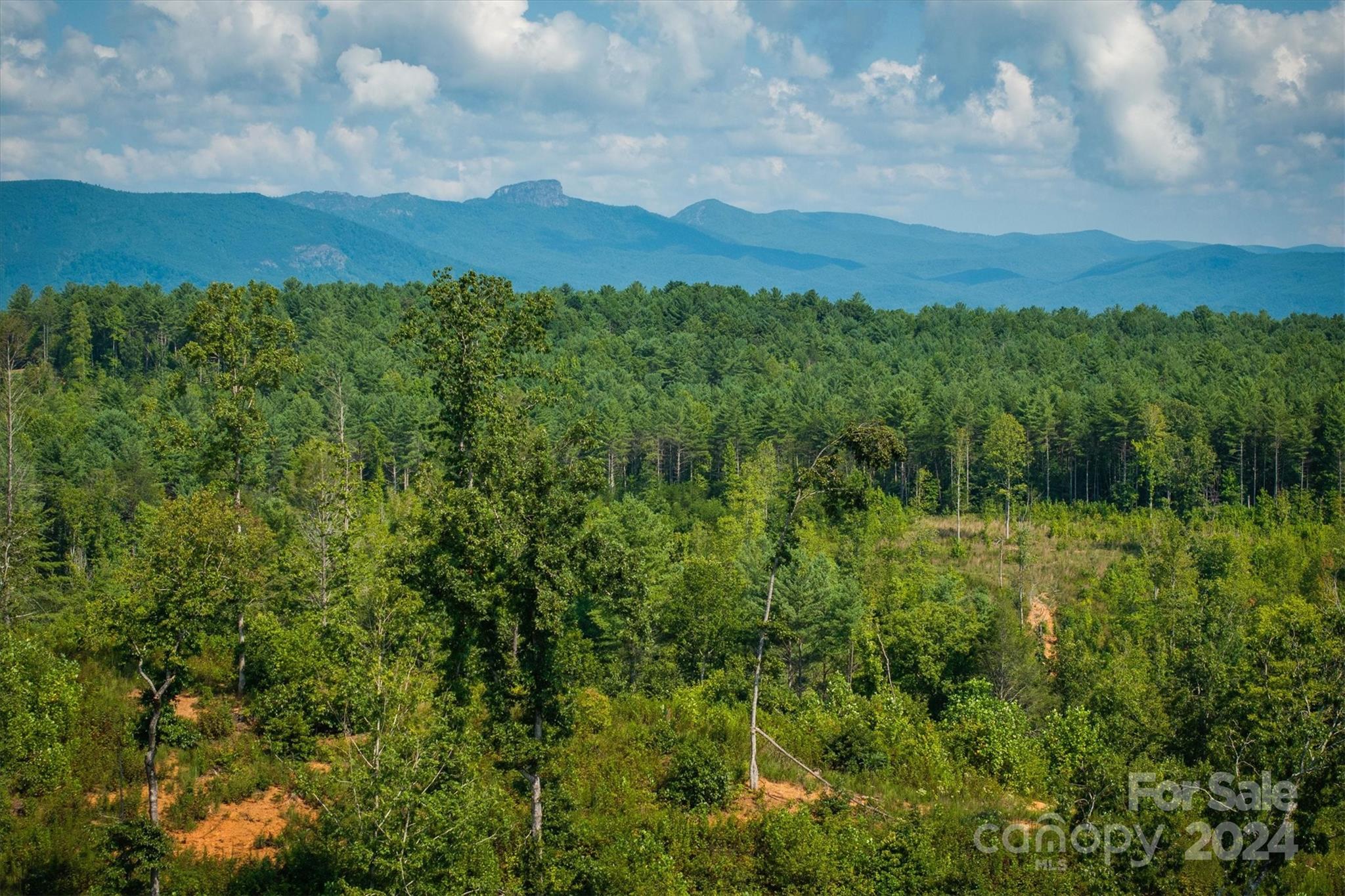 4311 Gwaltney Road Morganton, NC 28655 - Photo 9 of 24 Gallery Image 9