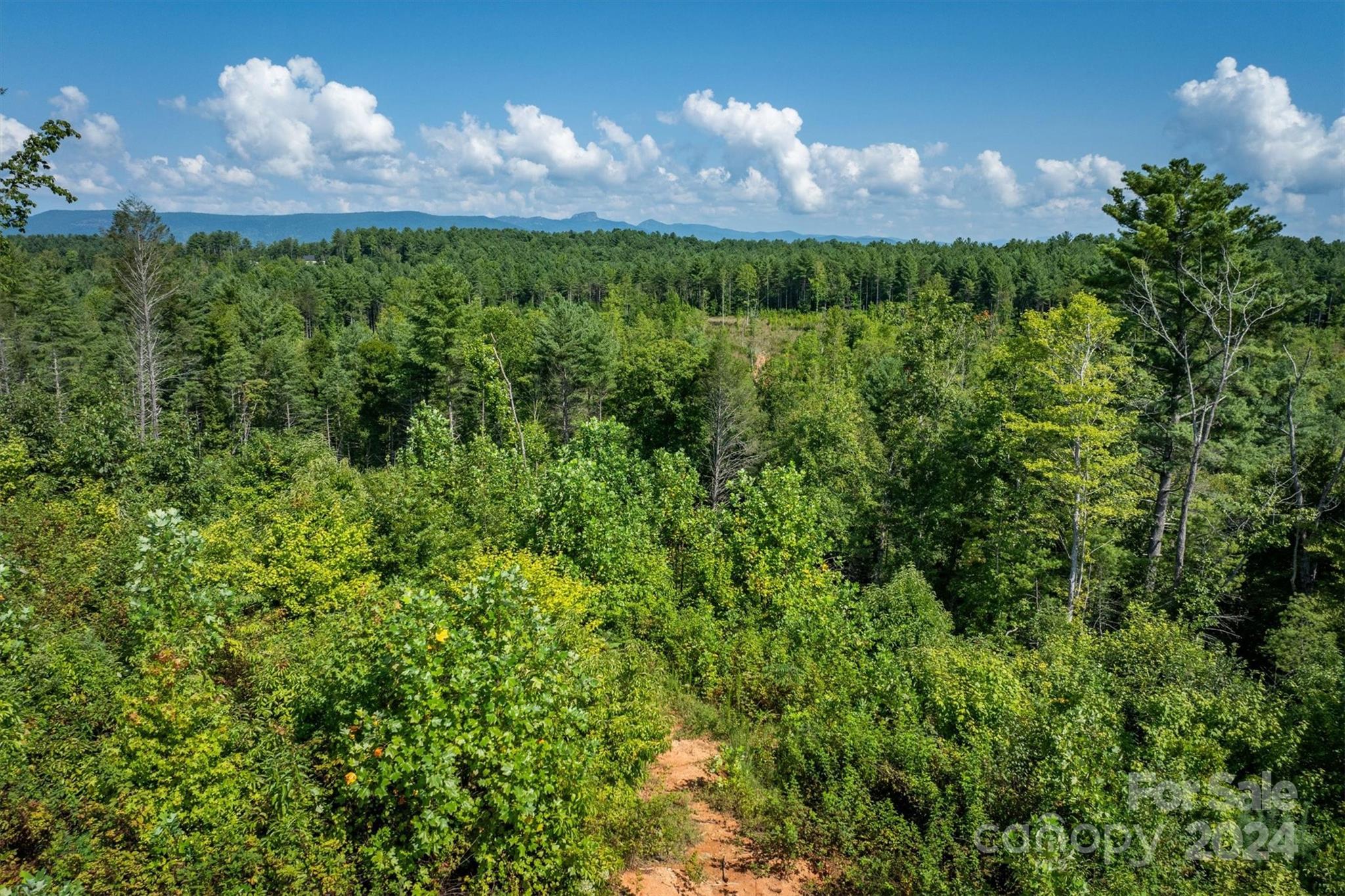 4311 Gwaltney Road Morganton, NC 28655 - Photo 10 of 24 Gallery Image 10