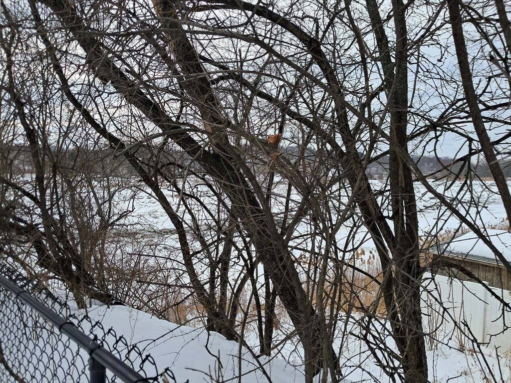 187 Hamilton Street Saugus, MA 01906 - Photo 29 of 35