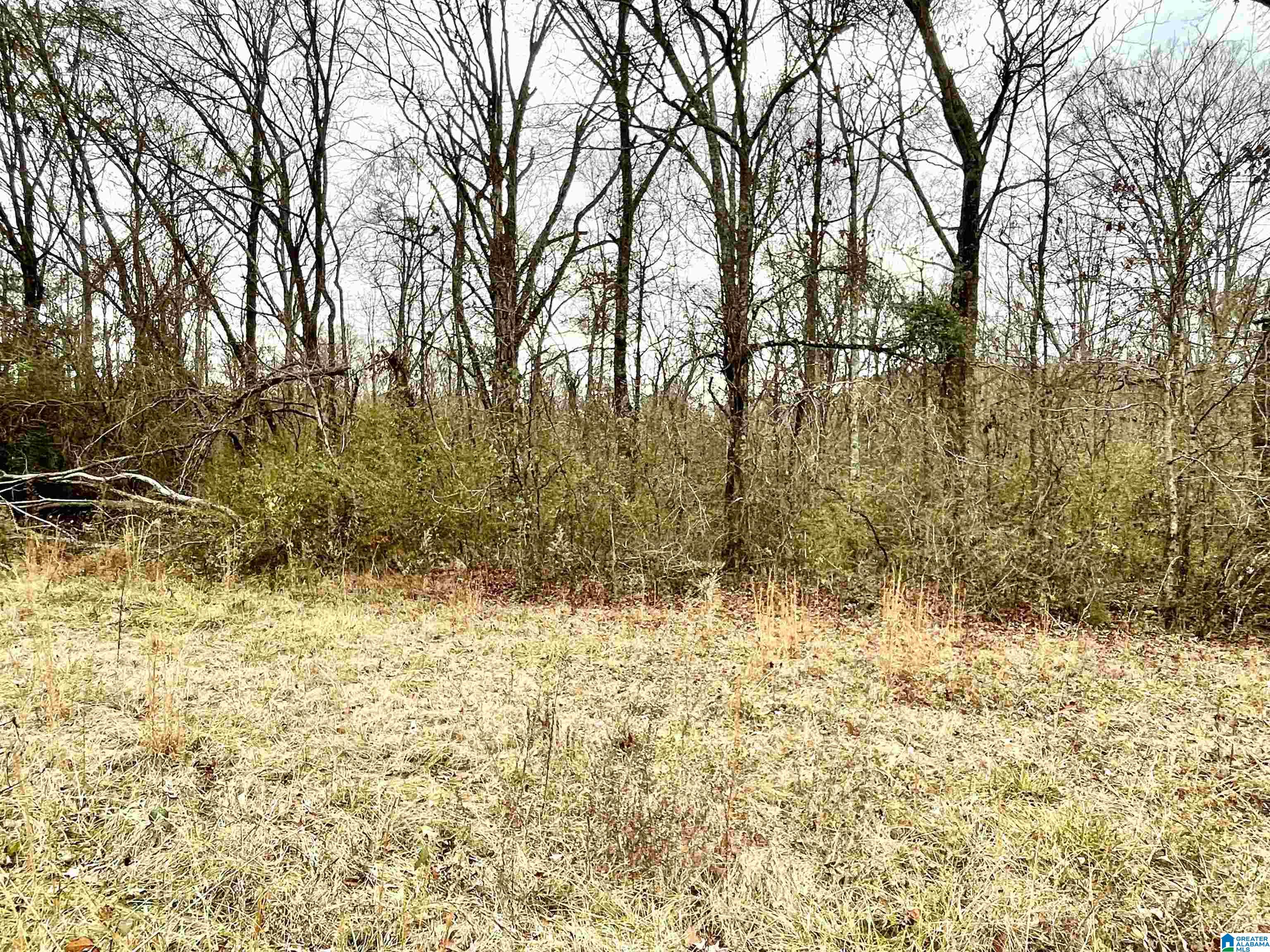 0 Parker Road Cropwell, AL 35054 - Photo 4 of 6