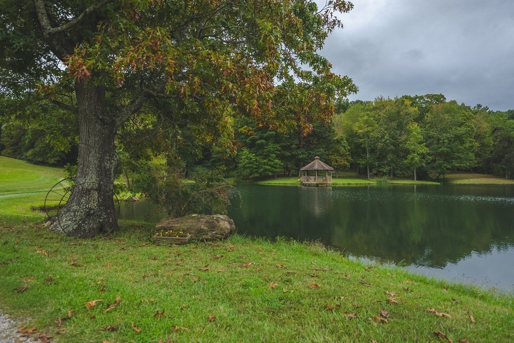 2066 Webbs Mill Road North Floyd, VA 24091 - Photo 51 of 77 Gallery Image 51