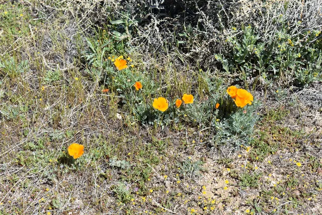 $18,000 | D4 135th St & Avenue West, Lancaster, CA 93536