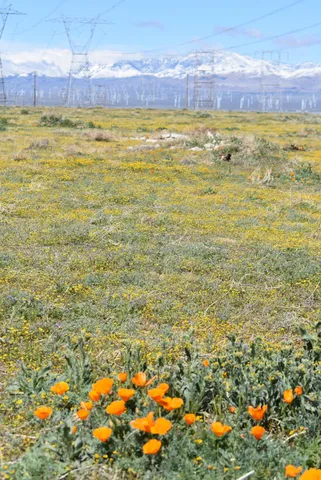 $18,000 | D4 135th St & Avenue West, Lancaster, CA 93536