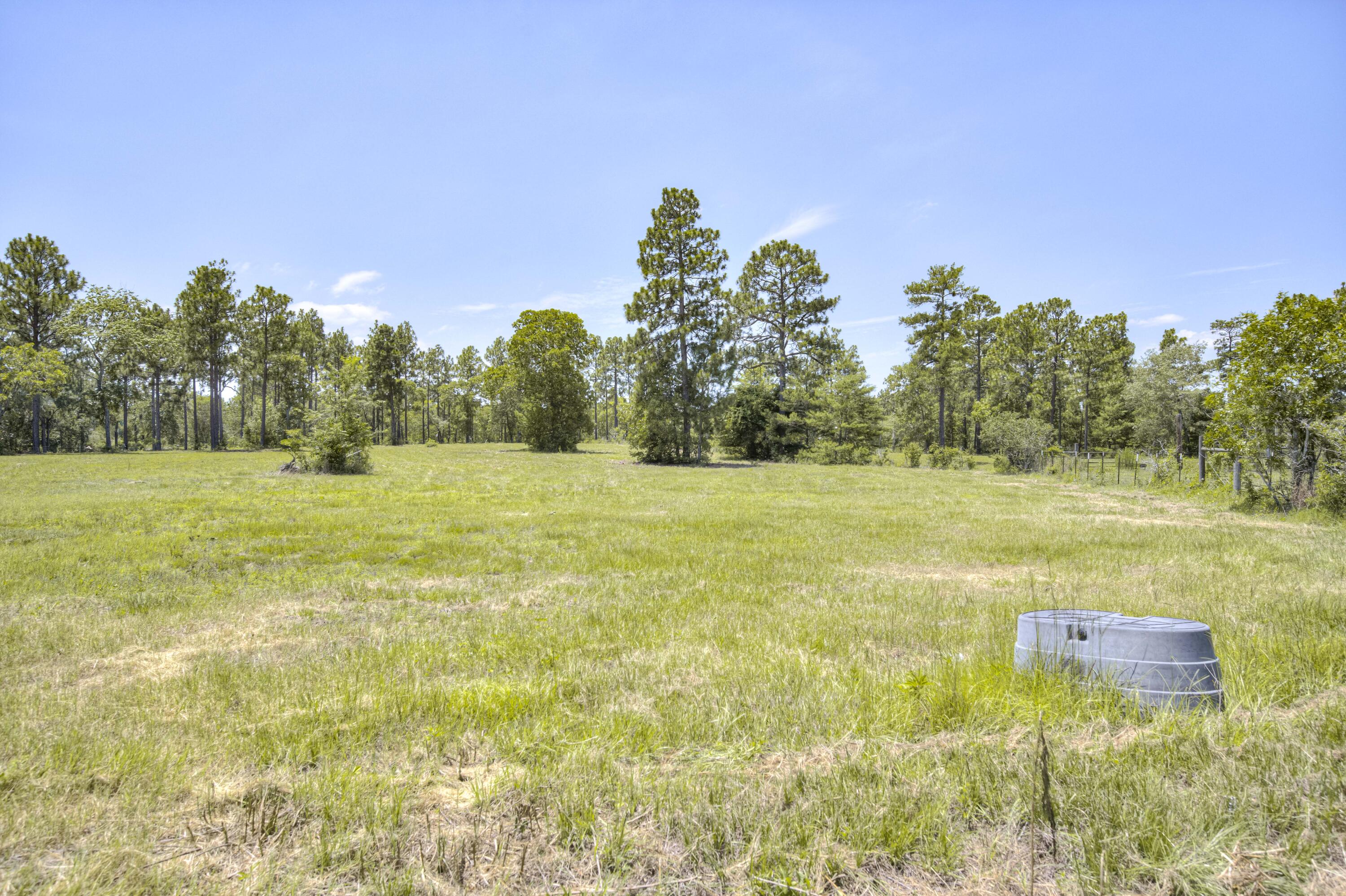 798 Big Branch Road Wagener, SC 29164 - Photo 38 of 63