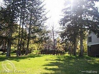 3000 Quarton Road Bloomfield Hills, MI 48304 - Photo 6 of 7 quarton7.jpg