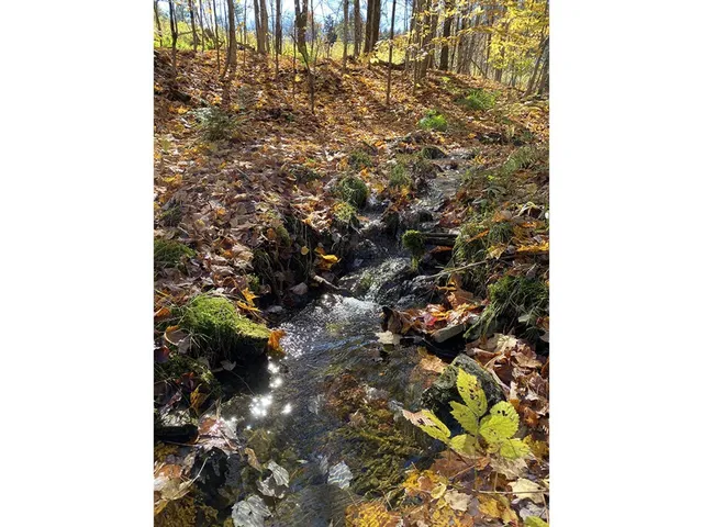 $625,000 | 1006 Brownsville Road, Moretown, VT 05602