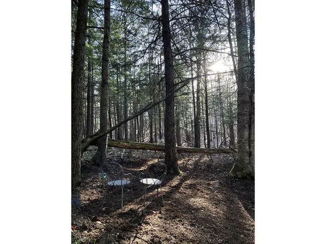 $625,000 | 1006 Brownsville Road, Moretown, VT 05602