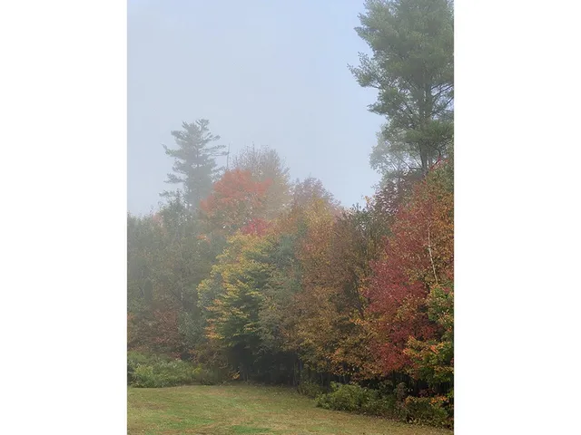 $625,000 | 1006 Brownsville Road, Moretown, VT 05602