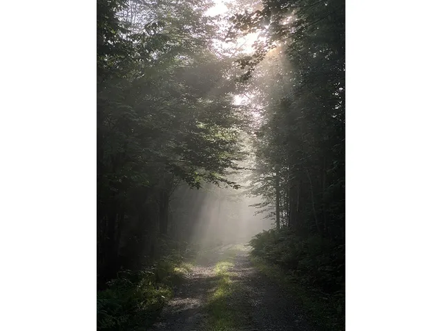 $625,000 | 1006 Brownsville Road, Moretown, VT 05602