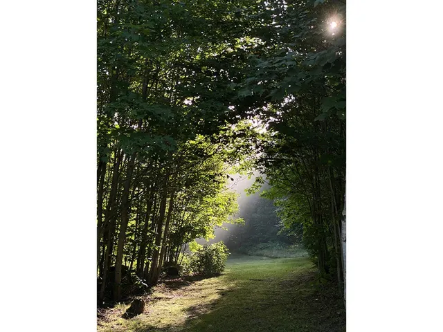 $625,000 | 1006 Brownsville Road, Moretown, VT 05602