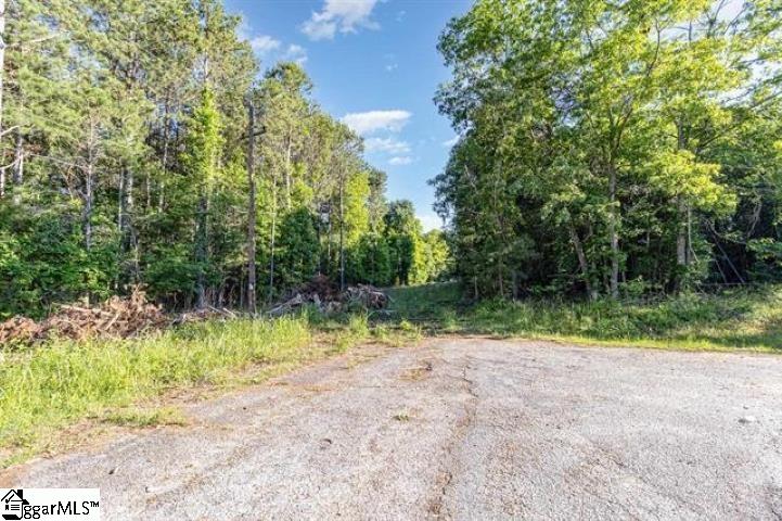 228 Hickory Ridge Road Townville, SC 29689 - Photo 1 of 12