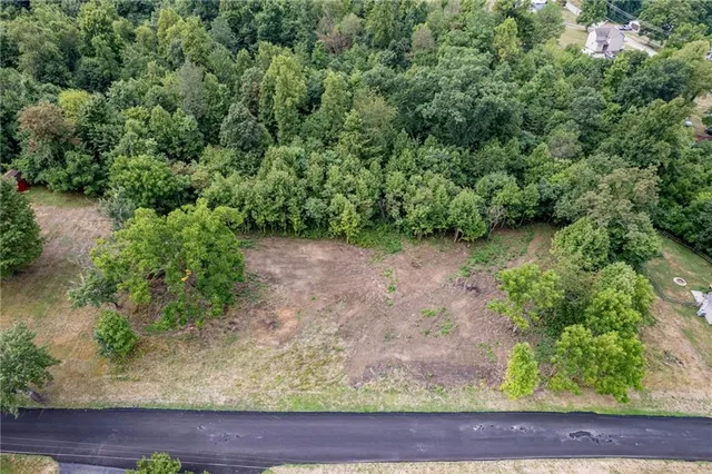 a view of a yard with plants