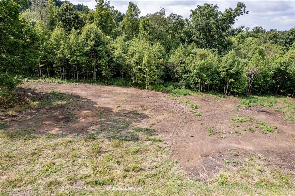 0 Reservoir Hill Road Uniontown, PA 15401 - Photo 2 of 6 a view of a yard with a tree