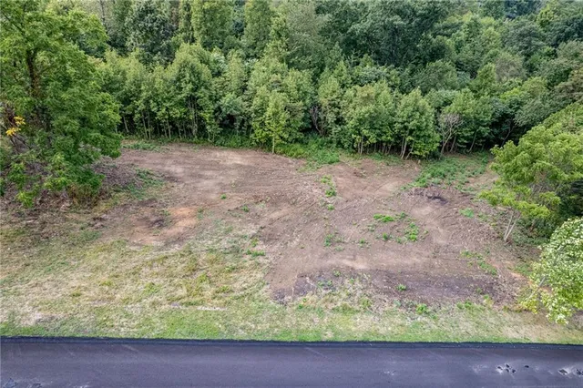 a view of a yard with a tree