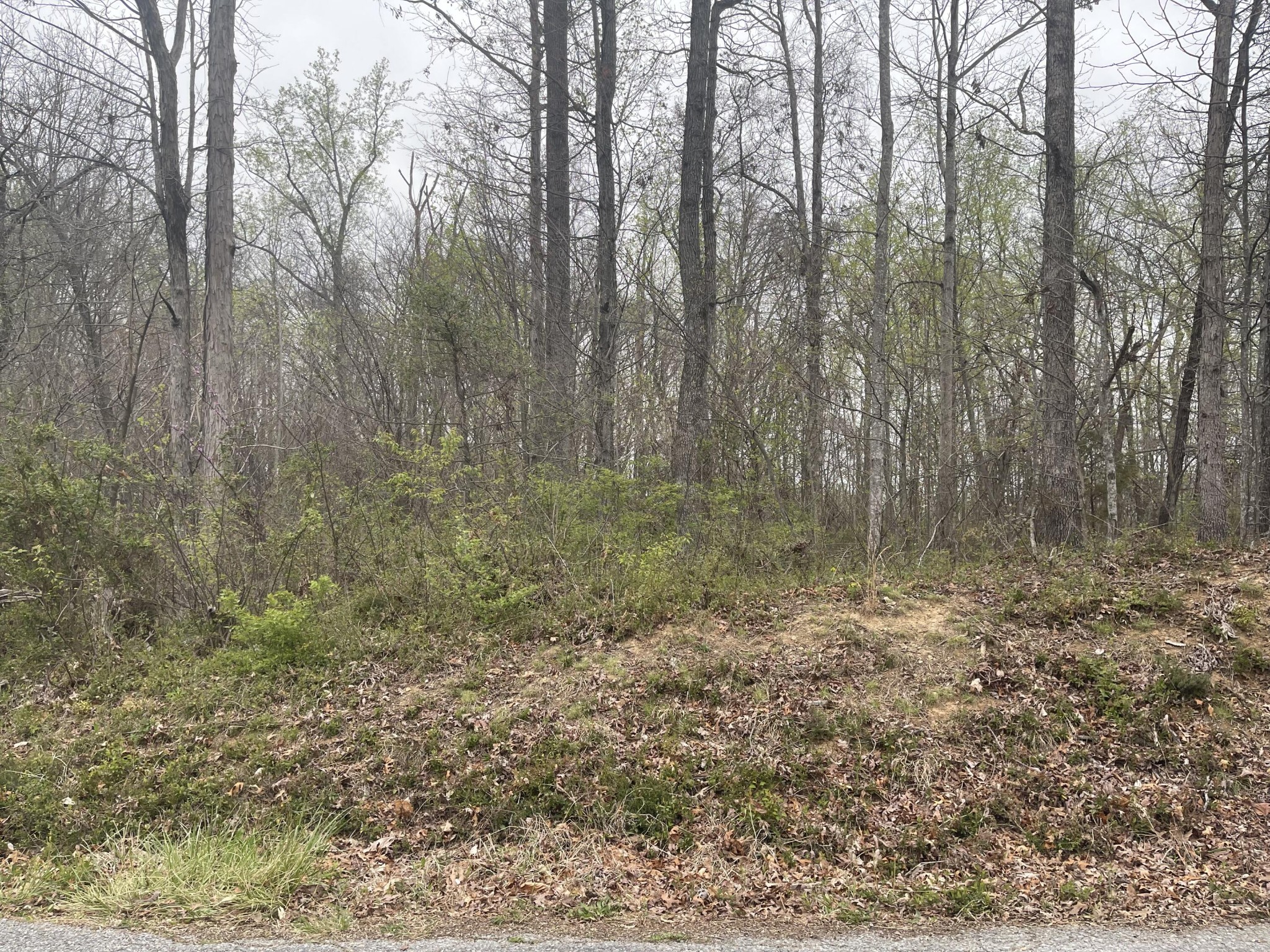 4 Wooddale Road Morristown, TN 37814 - Photo 2 of 6 Gallery Image 2