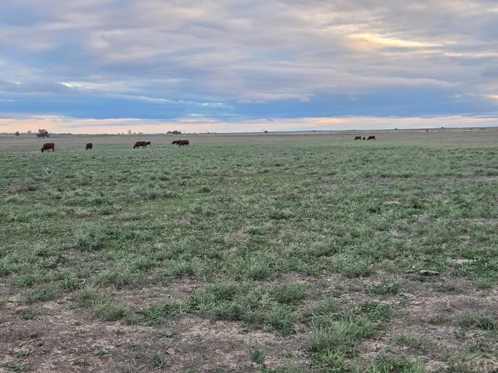 61776 Huckleberry Road Fowler, CO 81039 - Photo 26 of 26 Gallery Image 26