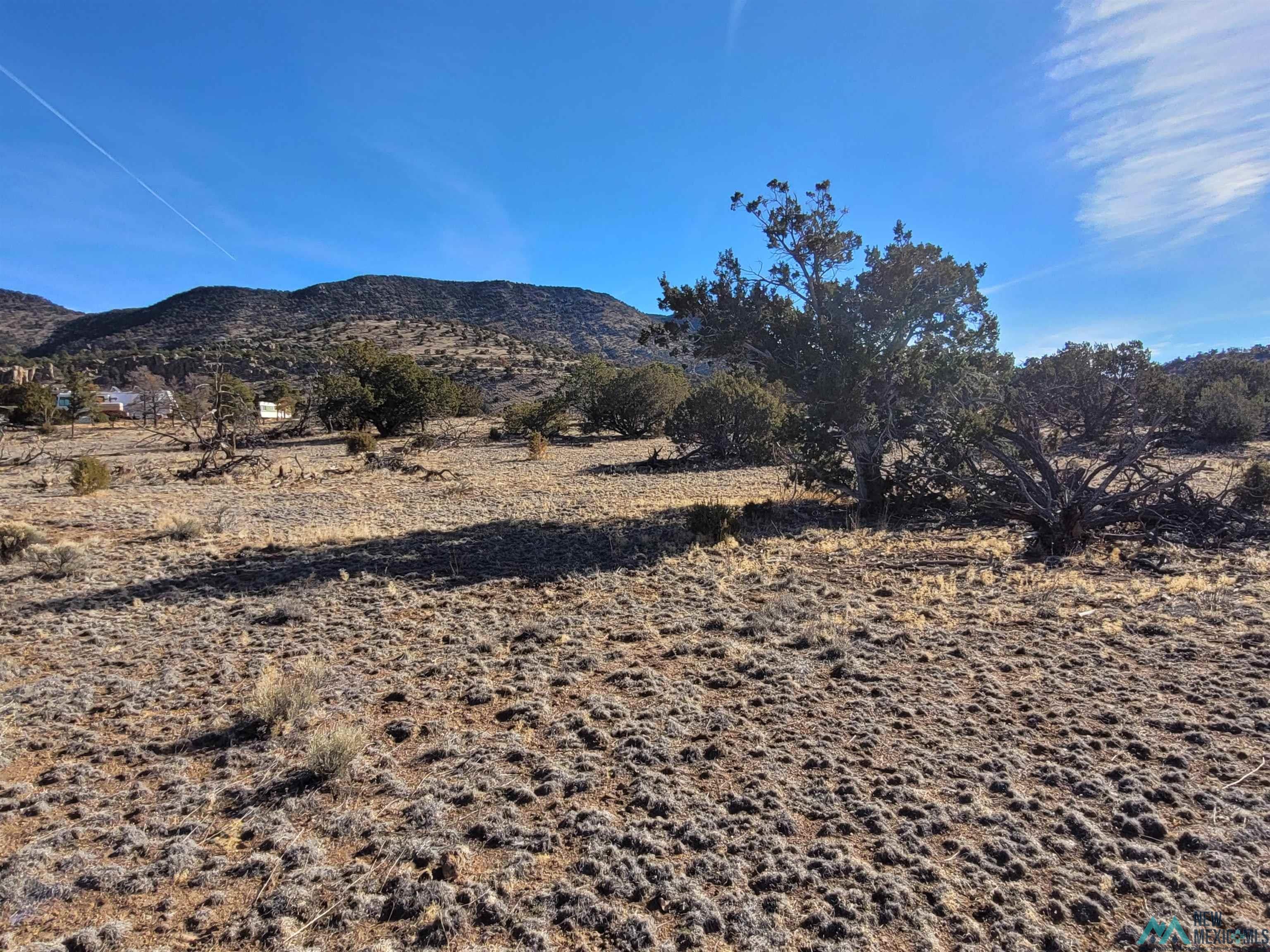 235 Sugarloaf Trail Datil, NM 87821 - Photo 13 of 48 Gallery Image 13