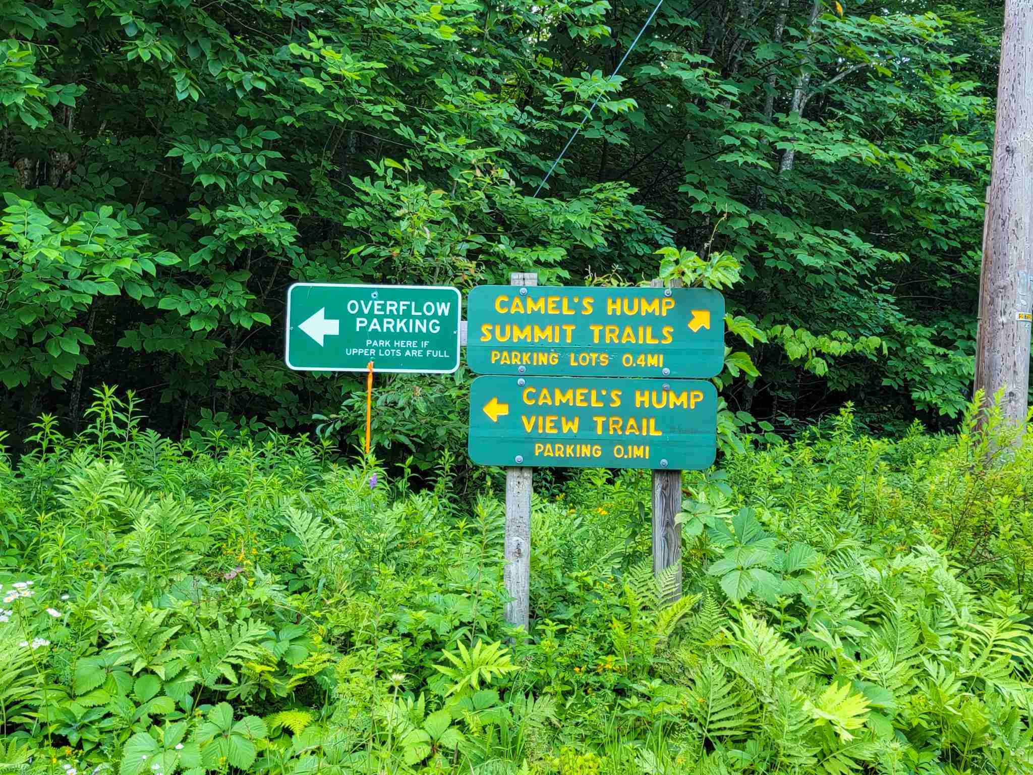 1000 Connolly Road Waterbury, VT 05676 - Photo 4 of 40 Gallery Image 4