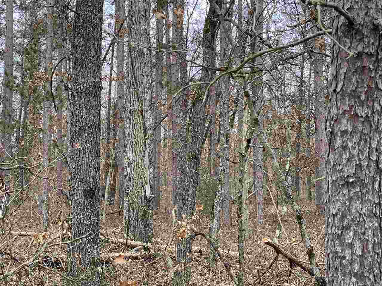 0 East Hoague Road Free Soil, MI 49411 - Photo 4 of 5