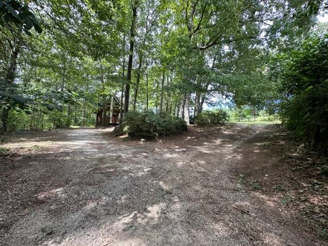 441 Patrick Mill Road Southwest Winder, GA 30680 - Photo 17 of 19 a view of a forest with trees in the background